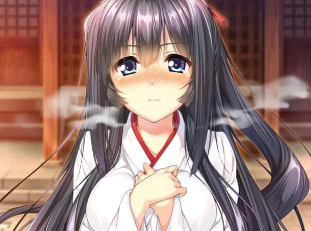 视觉数据5